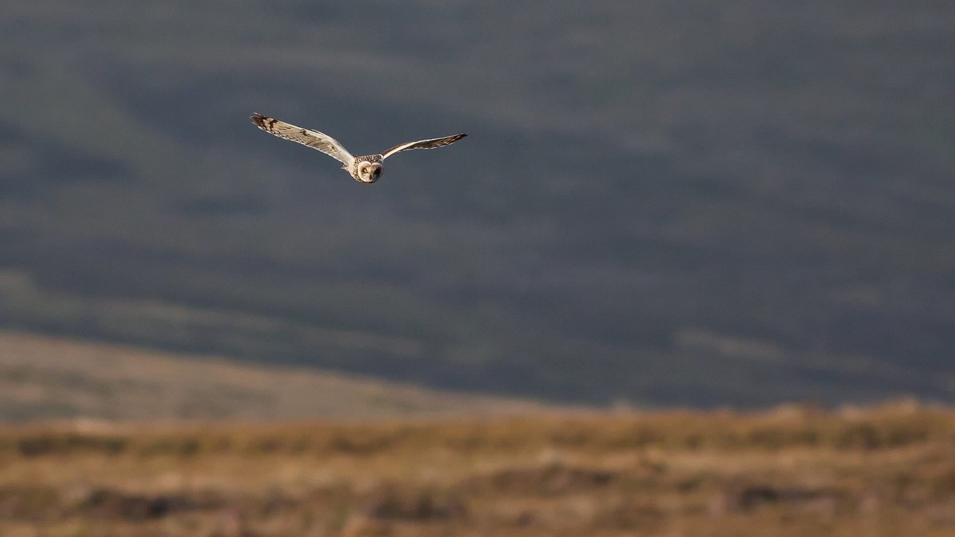 Image of Scotland’s highlands